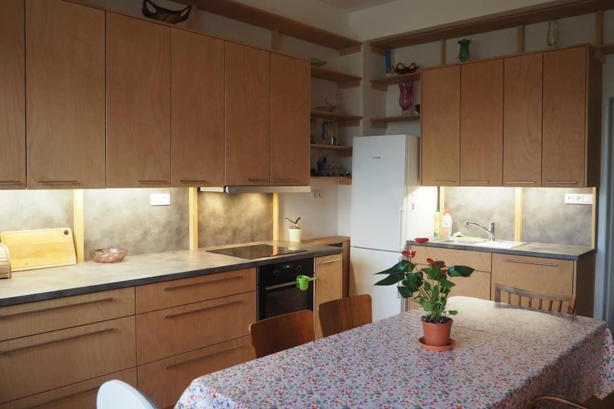 Rodinný apartmán v centru Prahy Praga Exterior foto